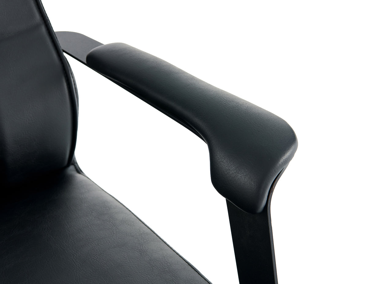 STCH023  salon chair